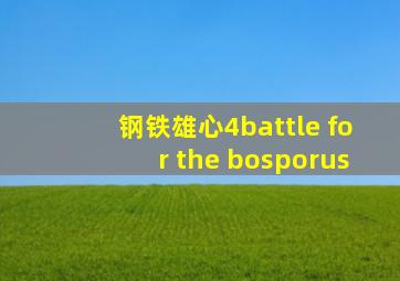 钢铁雄心4battle for the bosporus